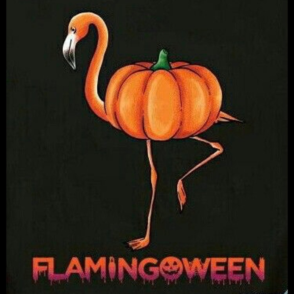 Meet your Posher, Tuesday